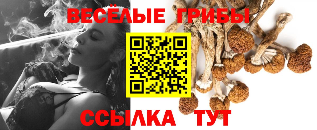 Псилоцибиновые грибы прущие грибы Сарапул