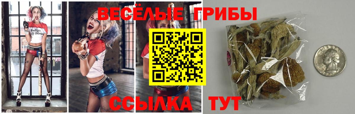 Галлюциногенные грибы MAGIC MUSHROOMS  Вход с VPN  Сарапул 